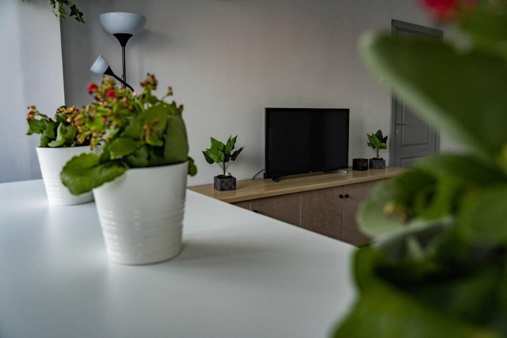 Modern 1 Bedroom Apartment In Bucharest Center! 외부 사진